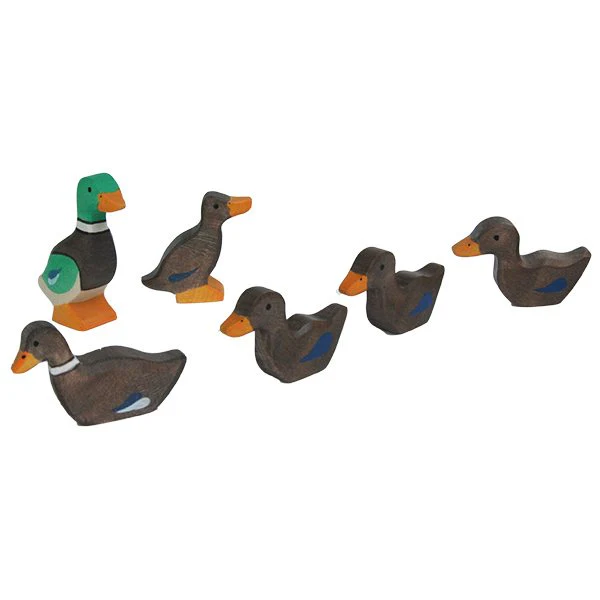 “Leuke Eendjes!”