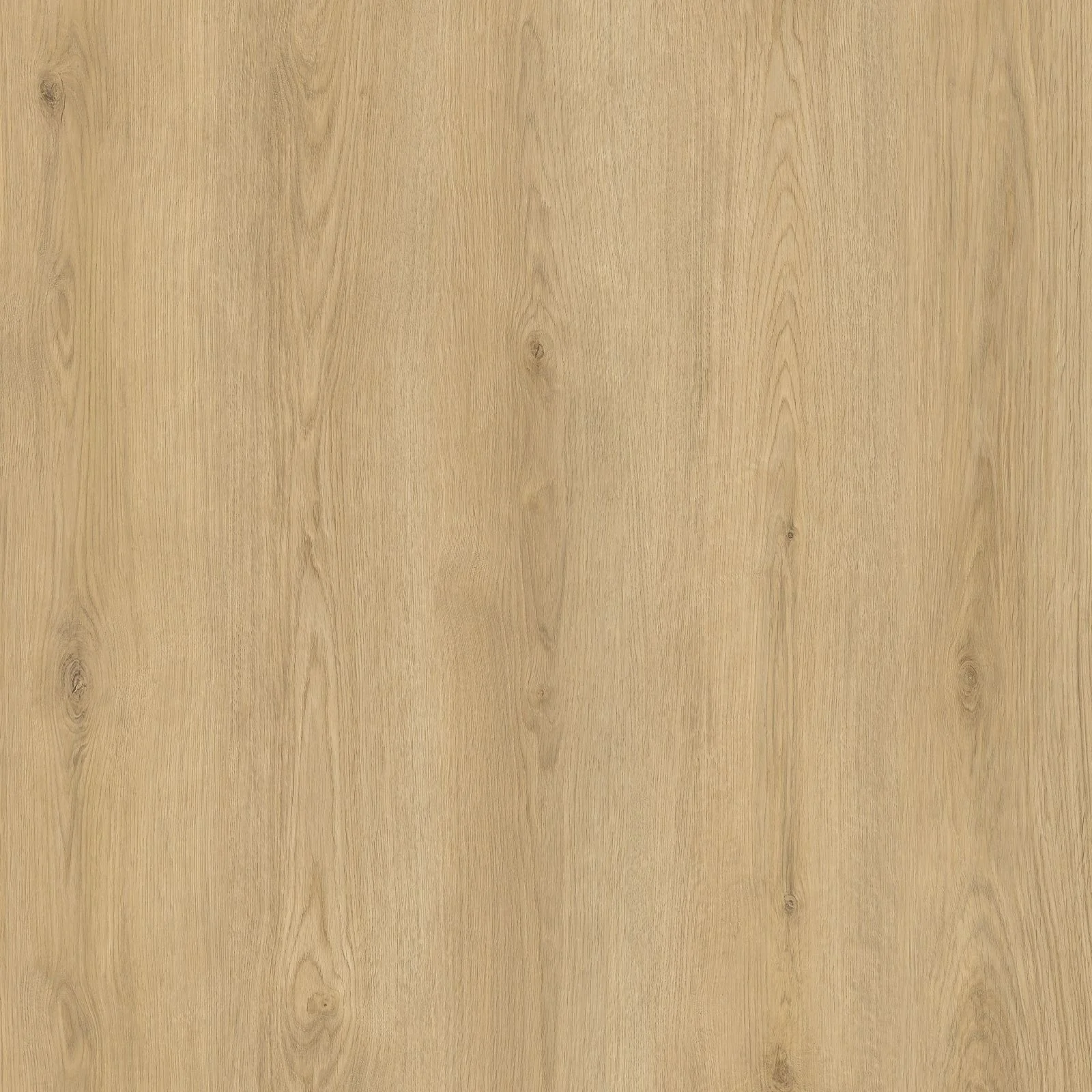 Hoomline City Rigid Click Haarlem 7008 Klik PVC