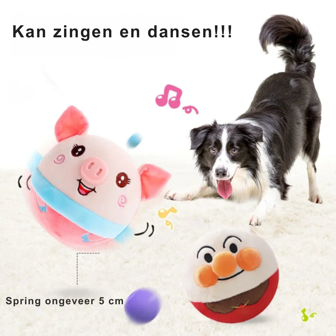 Actief Bewegend Hondenspeelgoed – Rover