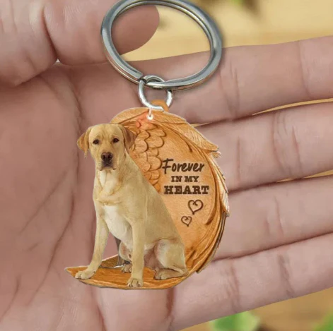Blond Labrador | Voor Altijd in Mijn Hart