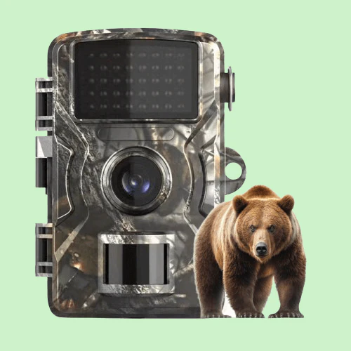WildGuard Pro Nachtzichtcamera – Draadloze Buiten Wildcamera met Bewegingssensor