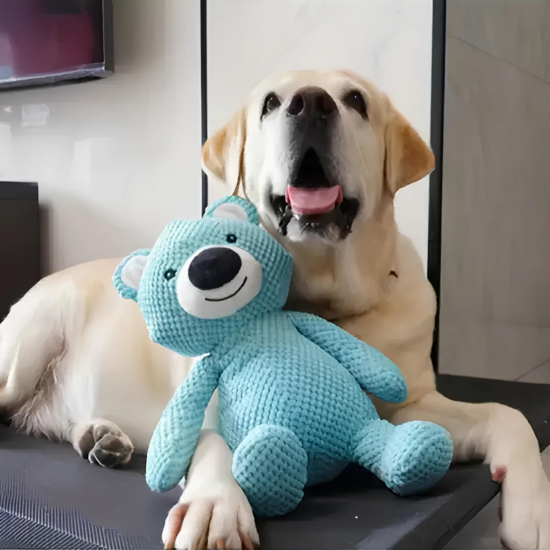 Het Luxe Pluche Speelgoed voor Eindeloos Plezier en Knuffels!