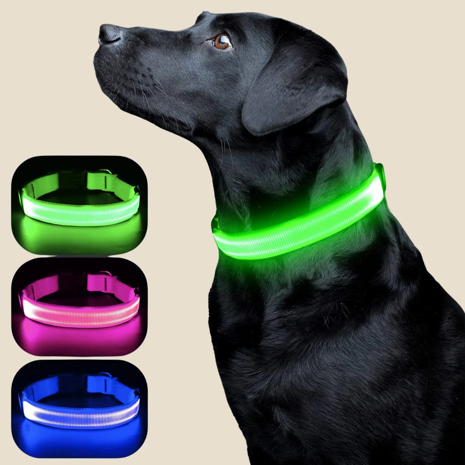 LED Hondenhalsband voor Veiligheid tijdens Avondwandelingen – Oplaadbaar en Verstelbaar