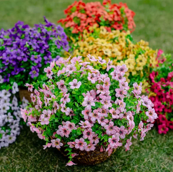 Prachtige Bloemen voor buiten – (1+1 GRATIS)