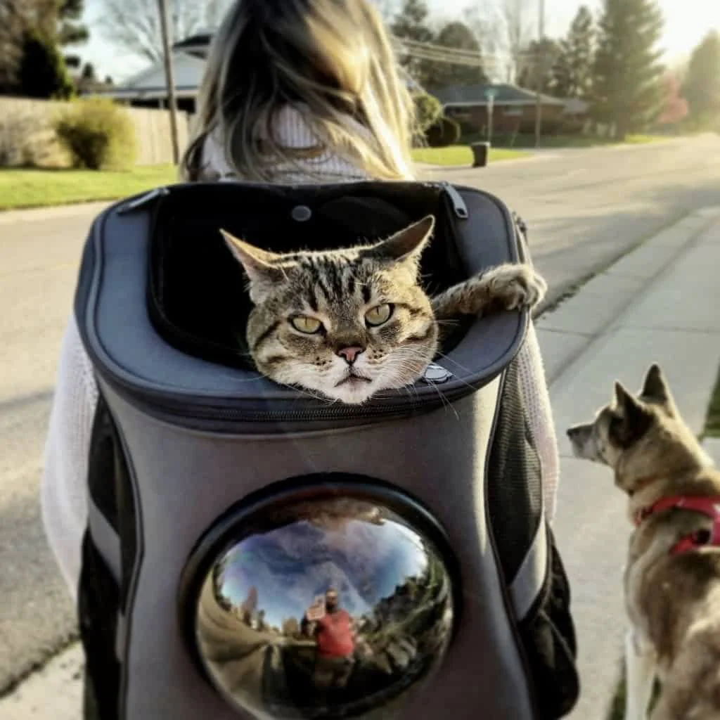 PurrVenture Rugzak – Draagbare Huisdierdrager voor Katten en Kleine Huisdieren