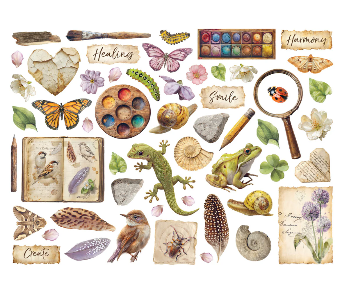 Stamperia – All Around – Die Cuts