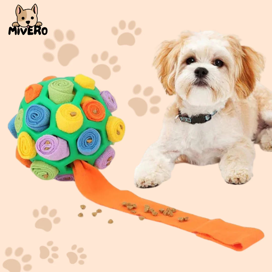 SniffleBall – De ultieme snuffeluitdaging!