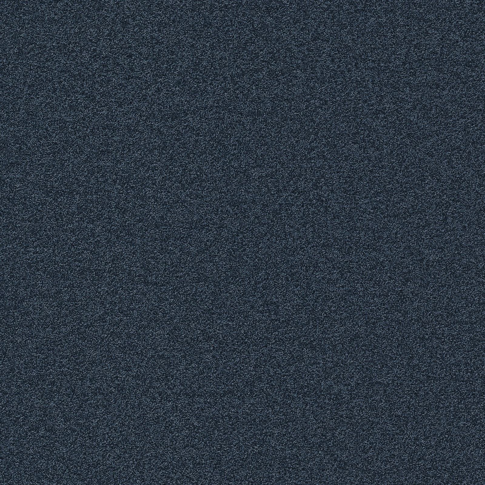 Ambiant Alaska Donkerblauw 0715 – Vloerbedekking – Tapijt Ambiant Alaska Donkerblauw 0715 – Vloerbedekking – Tapijt