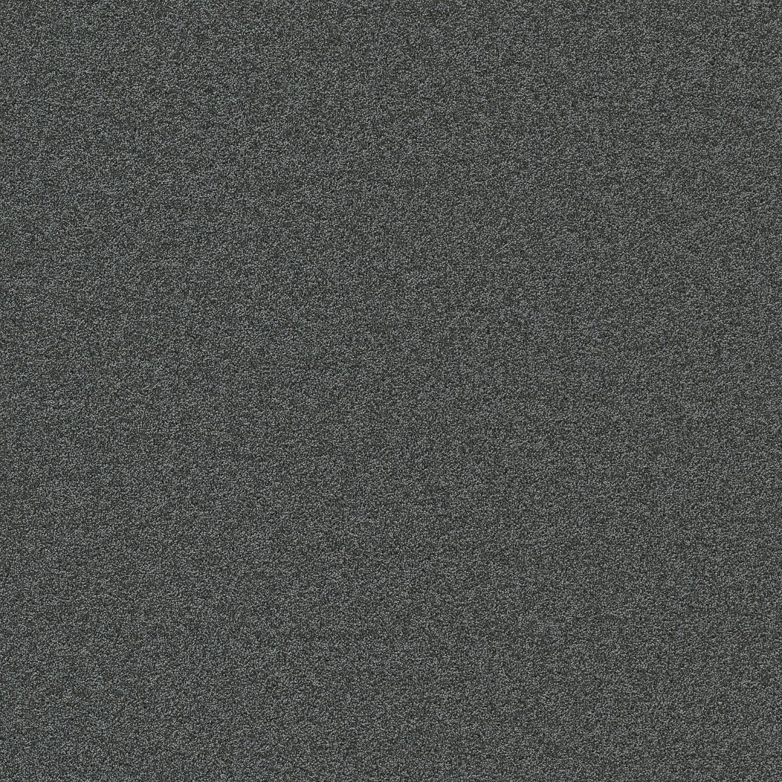 Ambiant Alaska Warmgrijs 0102 – Vloerbedekking – Tapijt Ambiant Alaska Warmgrijs 0102 – Vloerbedekking – Tapijt