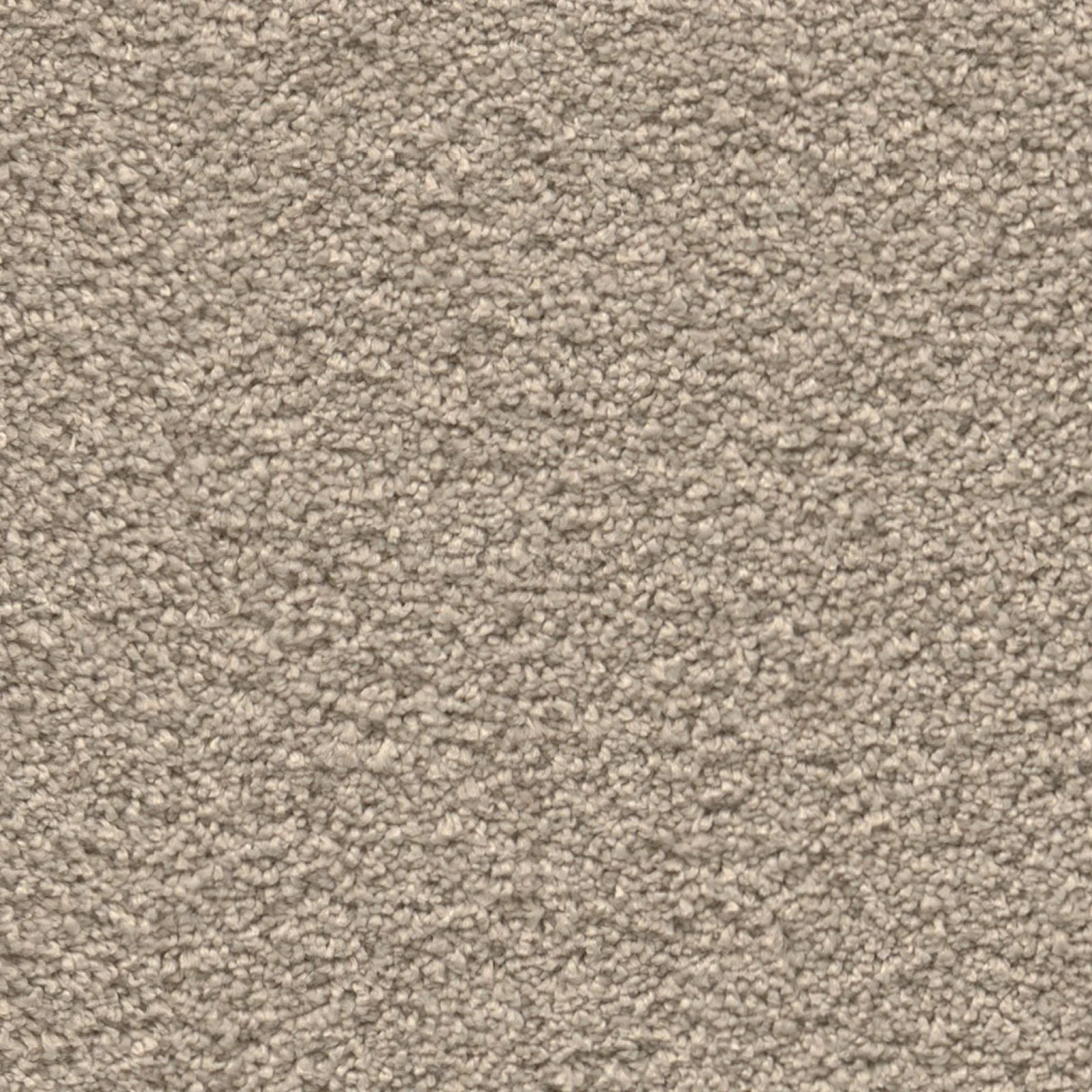 Ambiant Amoroso Grijs 0100 – Vloerbedekking – Tapijt