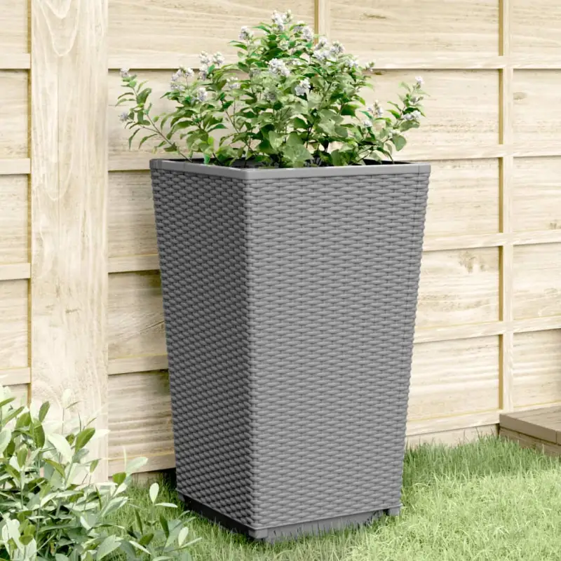 Bloempotten en plantenbakken voor klimplanten in tuin en terras