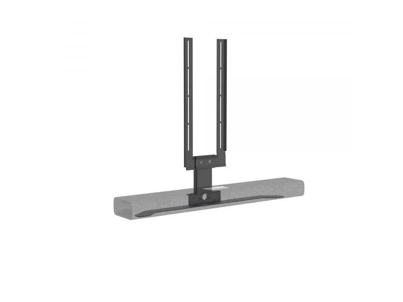 Cavus Harmon Kardon Multibeam 700 Houder voor TV Vloerstand