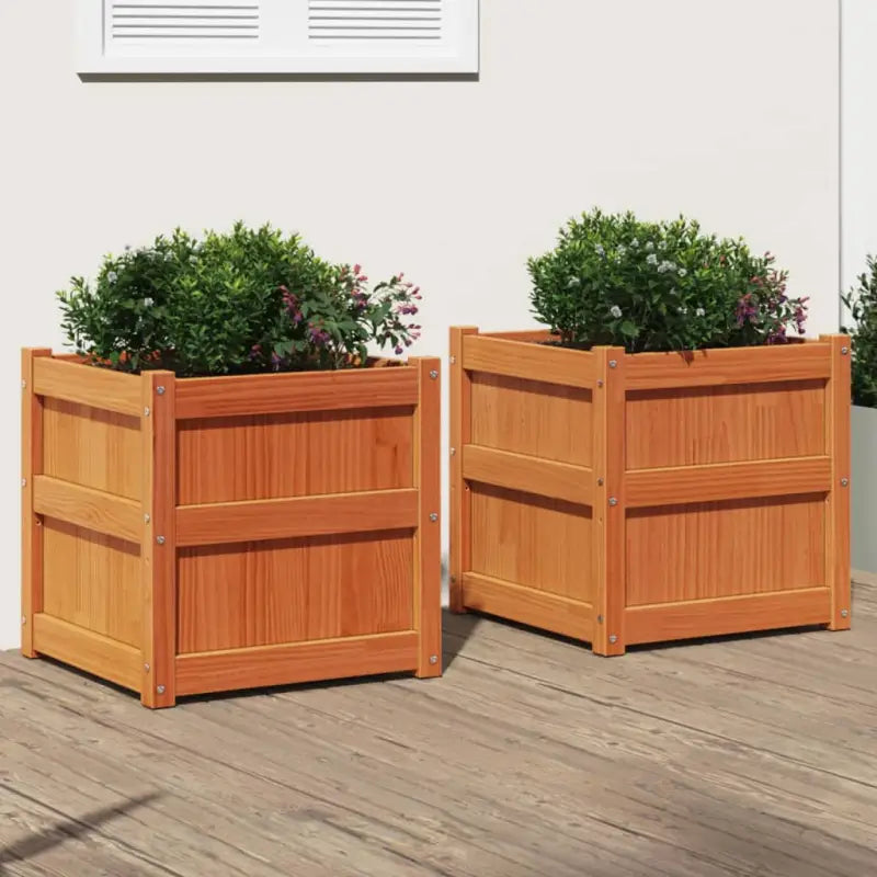 Houten bloempotten en plantenbakken van massief grenenhout