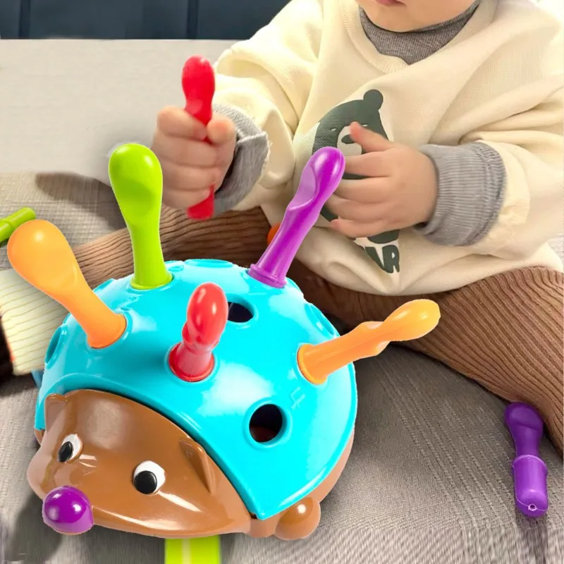 SensorySprout Montessori Egel – Educatief Sensorisch Speelgoed voor Kinderen - Afbeelding 2