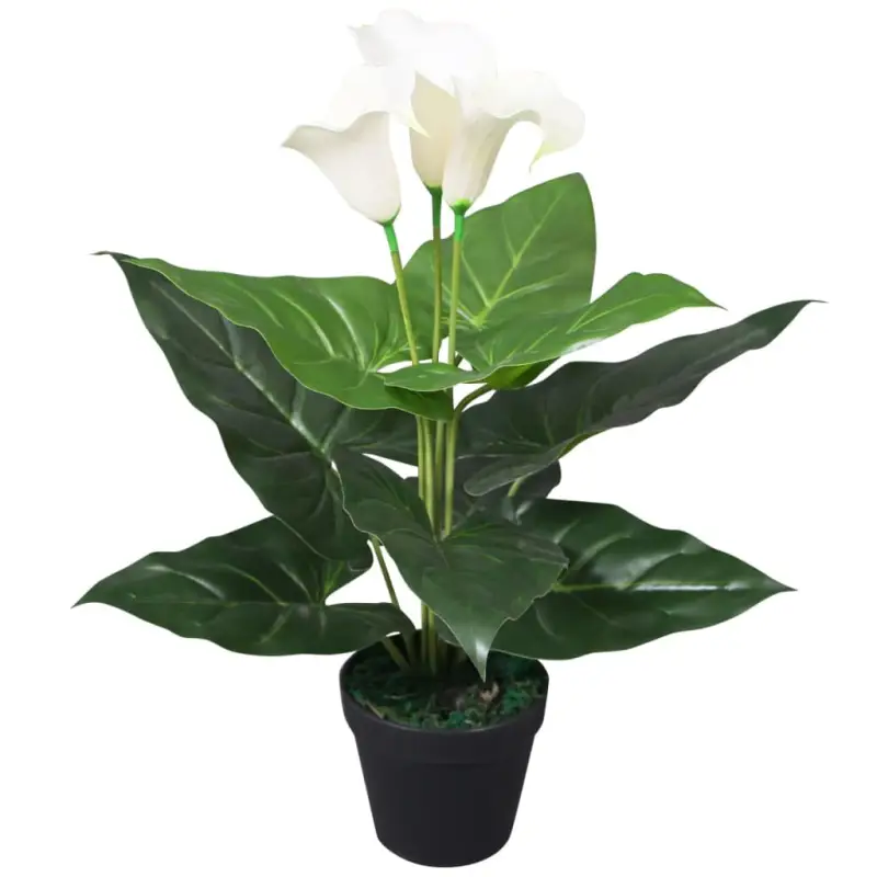 Kunst Calla Lelie voor een Groene Touch in Huis of Kantoor