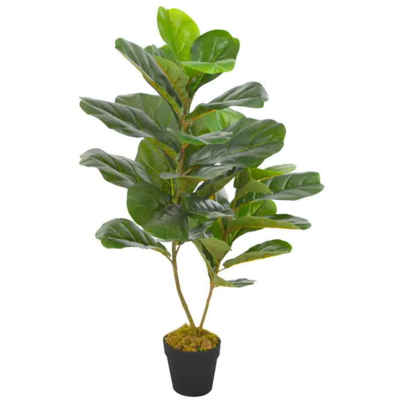Kunstplanten met levering bevat een levensechte vioolbladplant van 90 cm