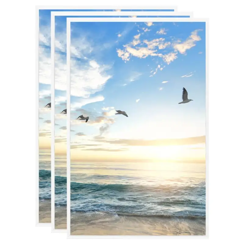 Trendy fotolijsten voor stijlvolle en levendige interieurdecoratie